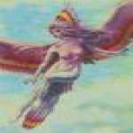 thumb_1646 (Medium).jpg